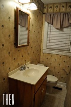 DIY Budget Bathroom Renovation Reveal