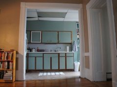 Introducing Dan's Kitchen Renovation
