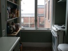 Introducing Dan's Kitchen Renovation