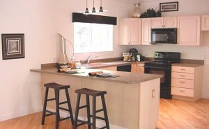 Kitchen Bar Design Ideas