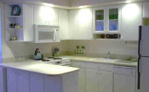 Small Condo kitchen Designs