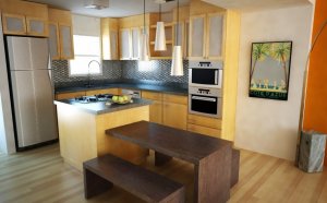 Small Designer kitchen