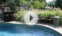 Backyard Pool Design and Video