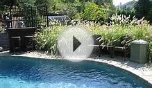 Backyard Pool Design and Video