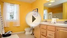Bathroom Paint Color Design Ideas Romance